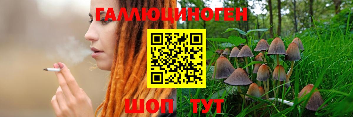 Воркута  Псилоцибиновые грибы Psilocybine cubensis  Вход с VPN 